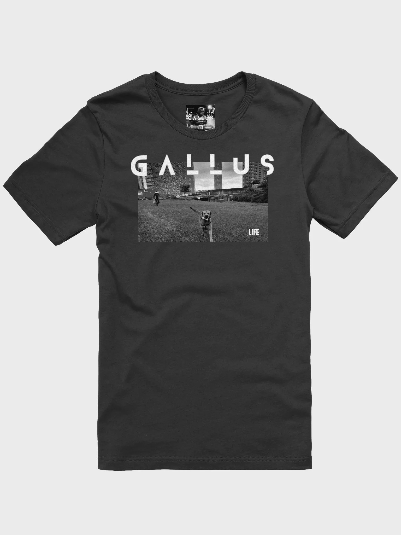 Gallus 2025 Life Collection product image (4)