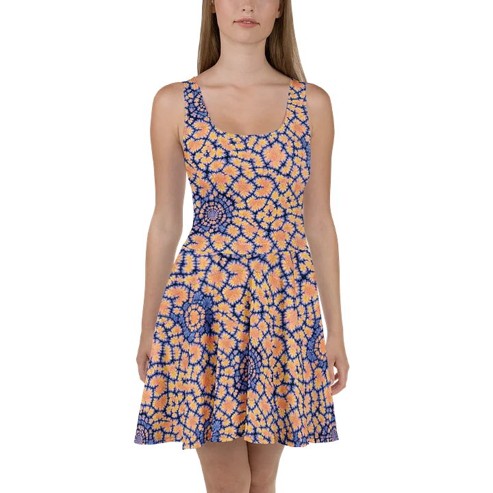 Sunny Days Skater Dress product image (2)