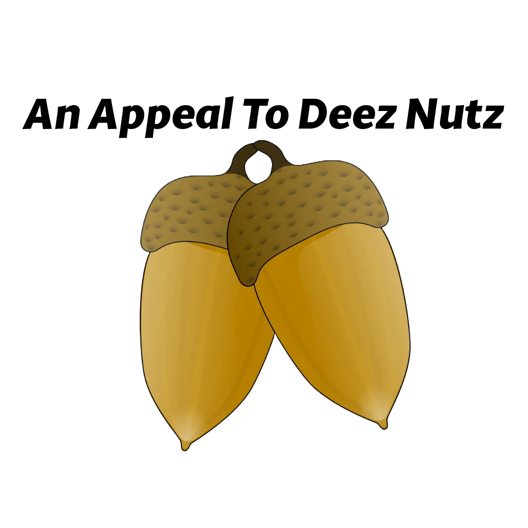 An Appeal To Deez Nutz Flag product image (1)