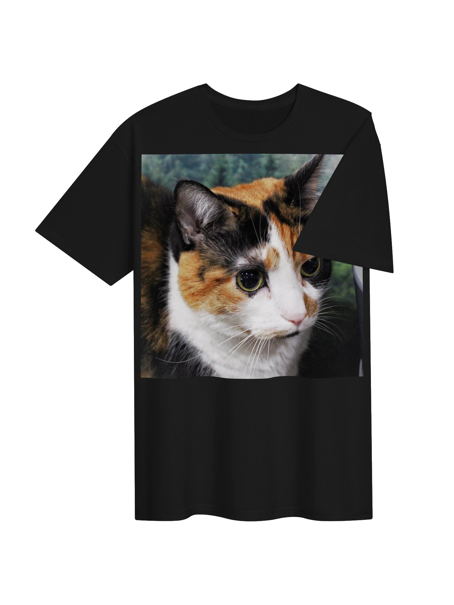 Captain Noodle Shirt product image (4)