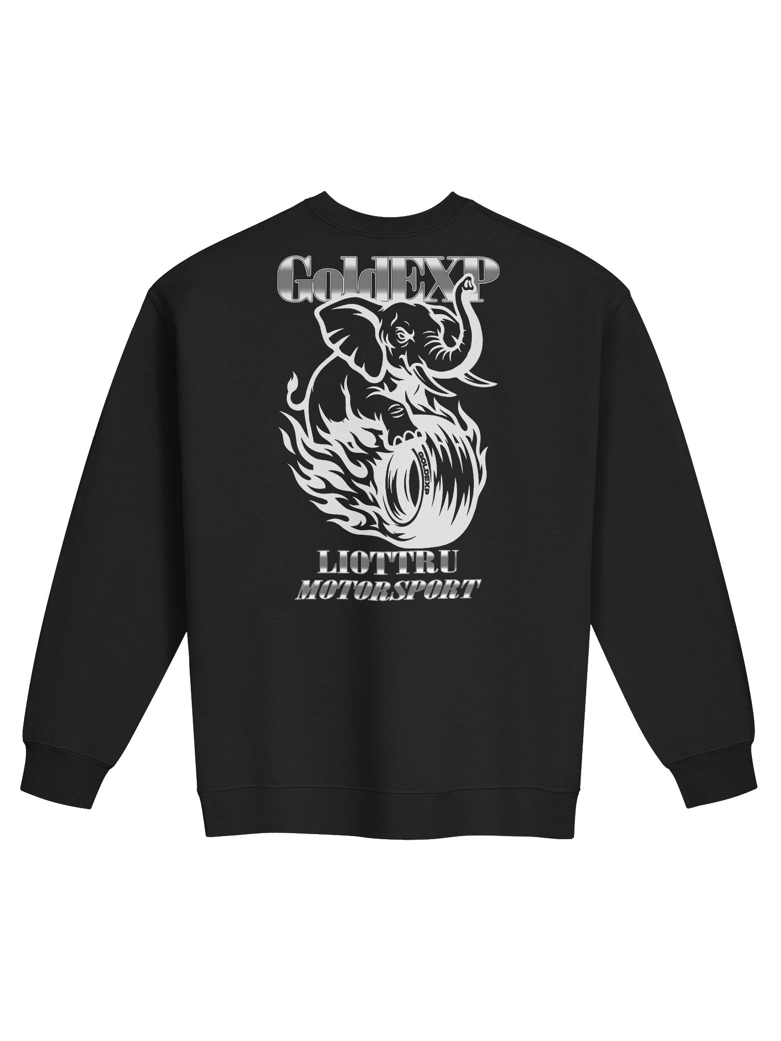 (HEAVY) LIOTTRU MOTORSPORT product image (2)