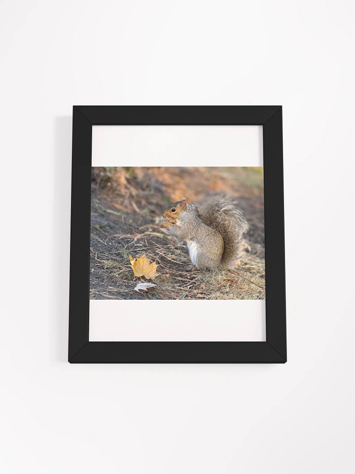 Squirrel print product image (19)