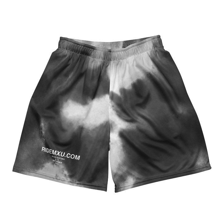 Wear Test Shorts product image (1)