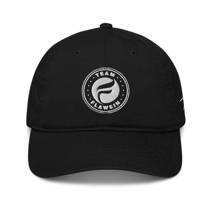 Team Flawsin Econscious Organic Dad Hat product image (1)