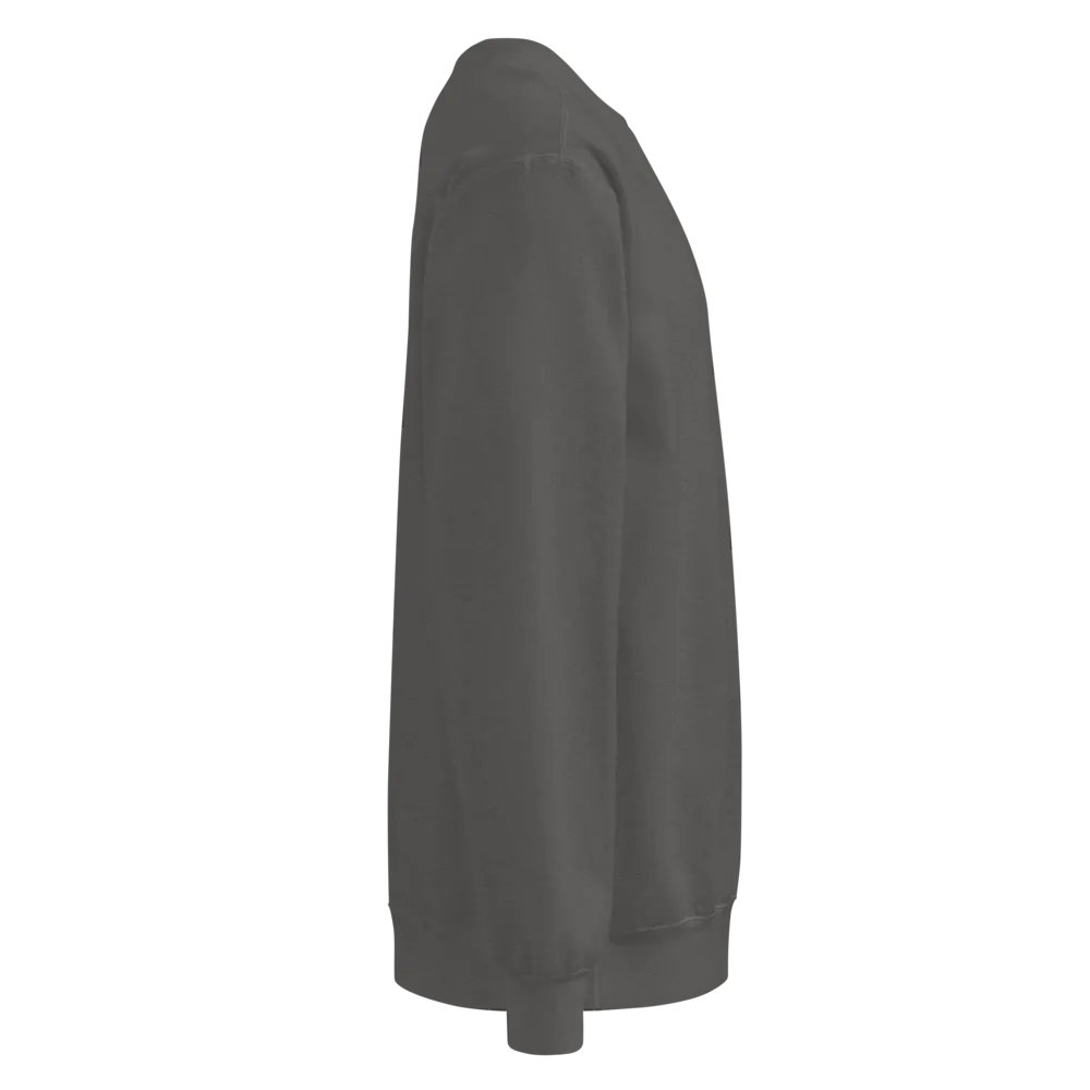 Sooner Spotlight Sweatshirt product image (4)