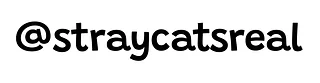@straycatsreal