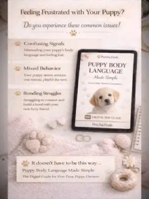 Confused by your puppy’s behavior? 😩 Happy one minute… anxious the next? You’re not alone. Most owners misread the signs. Stop guessing. Start understanding. 🐶✨ Learn what your puppy is really trying to tell you. 📖 Puppy Body Language Made Simple 💻 Instant Digital Download (PDF) No physical copy. Get it now 👉 Petchicfinds.com #puppytraining #dogbehavior #newpuppy #puppylove #dogmomlife 