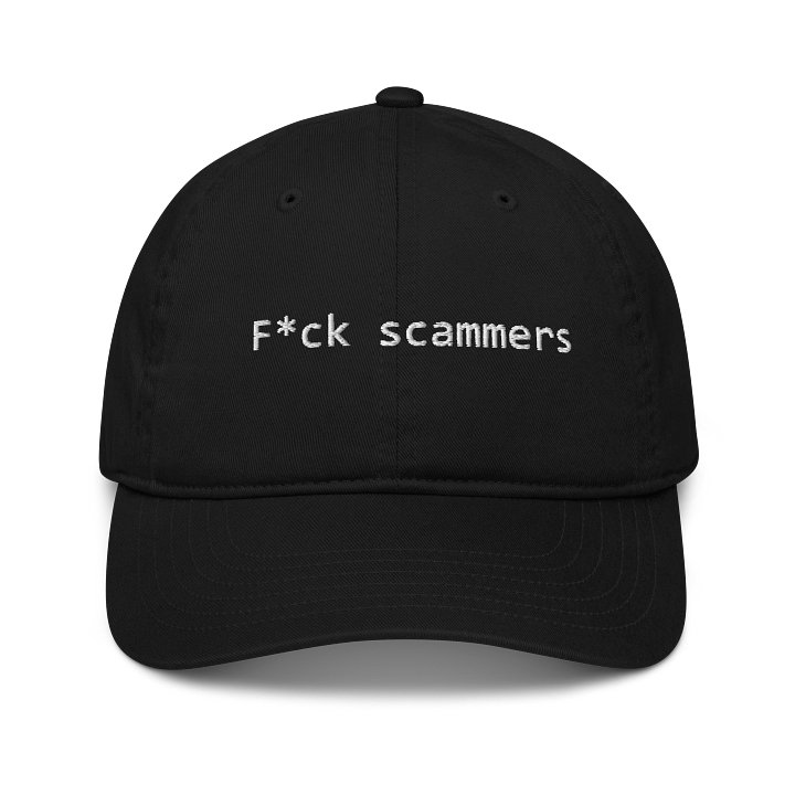 F*ck Internet Scammers Hat product image (1)
