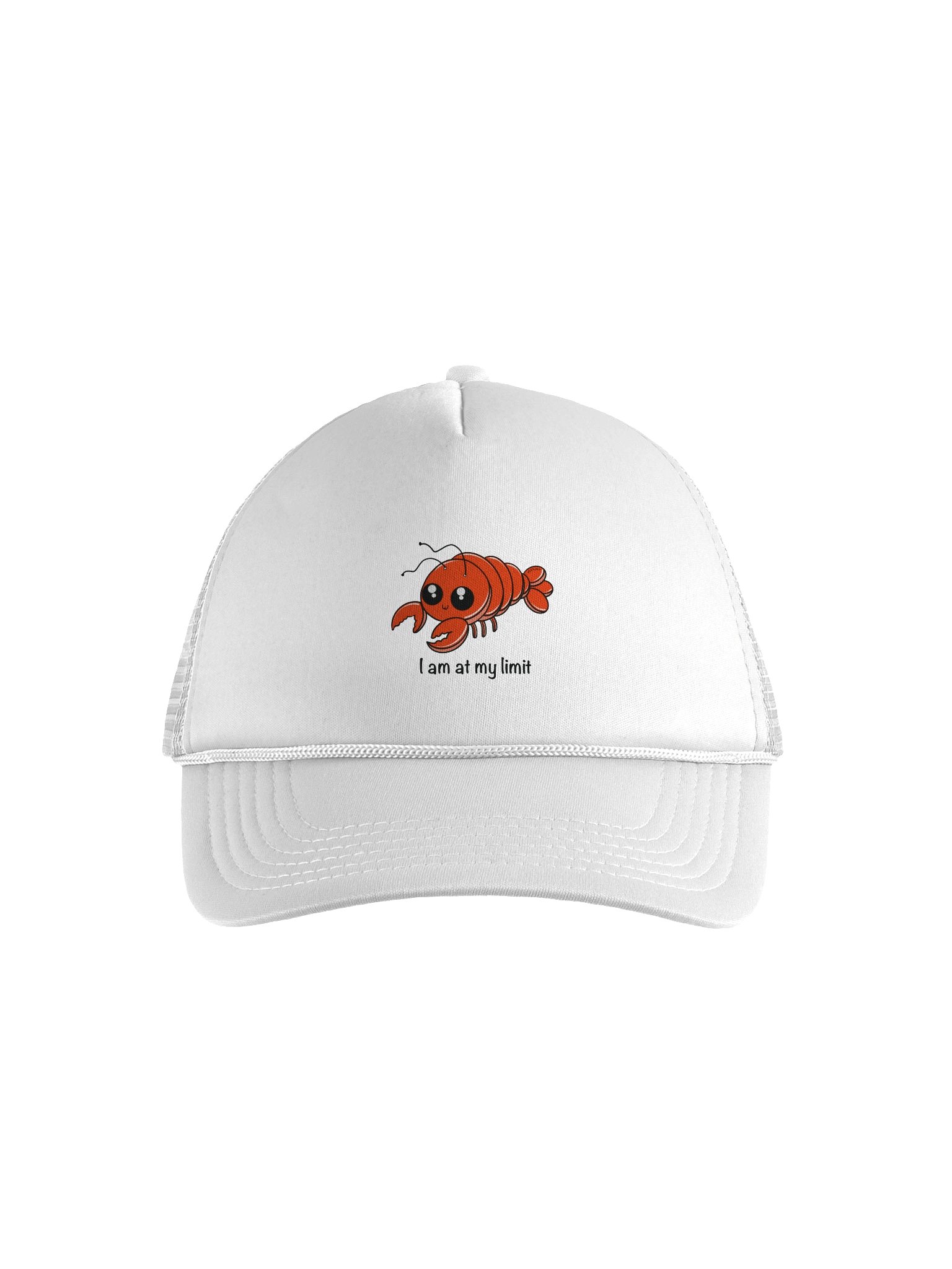 At My Limit Foam Trucker Hat product image (1)