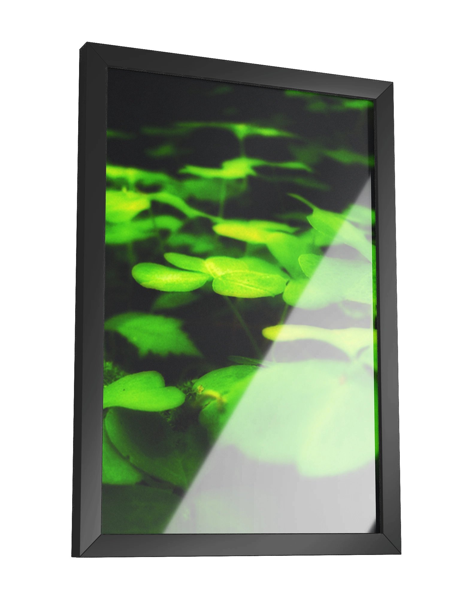Drowse product image (3)
