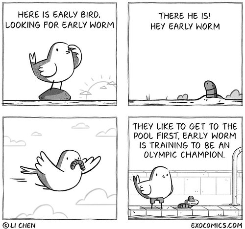 early bird