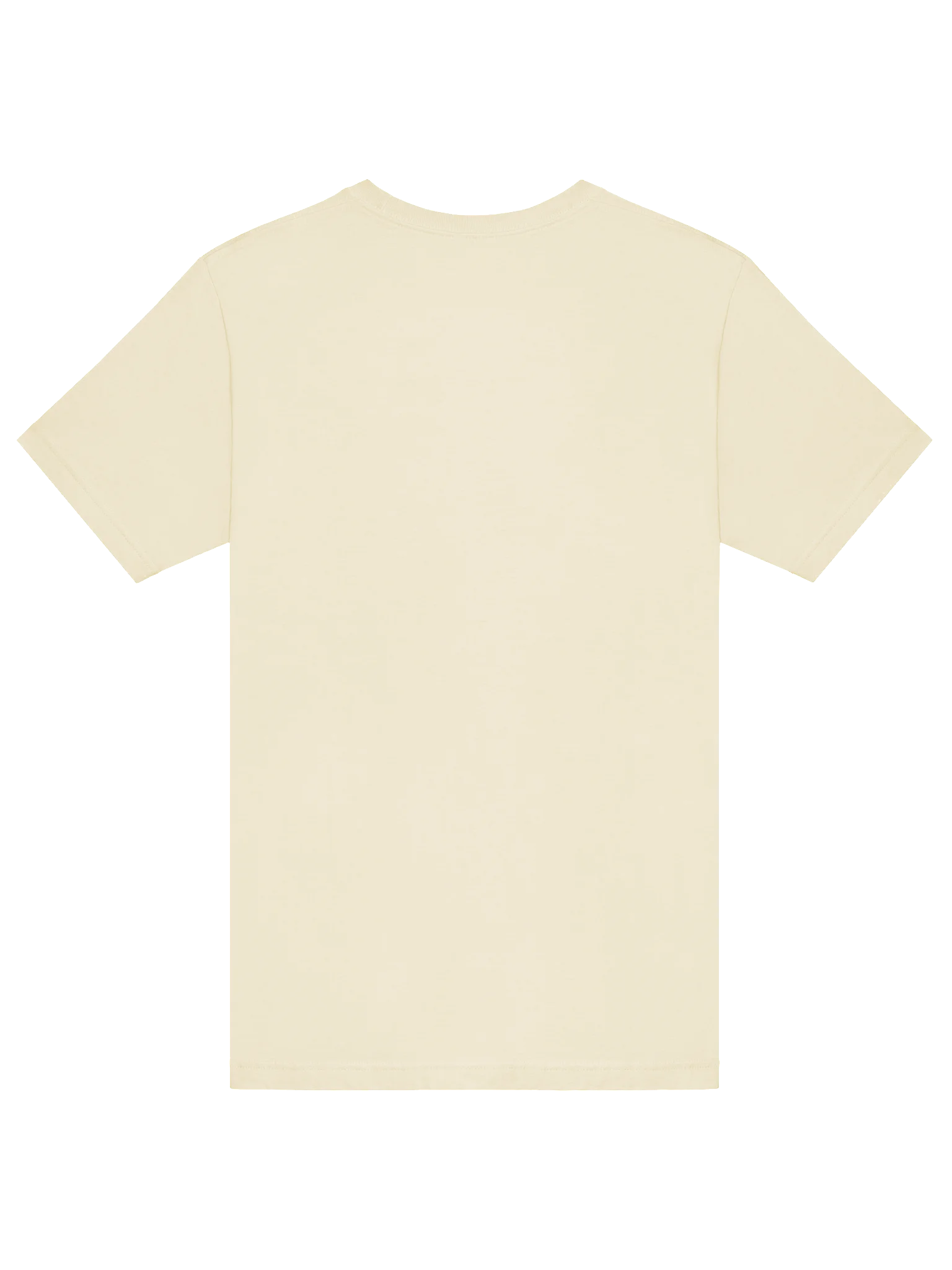 'Est. 2019' Rose T-Shirt product image (6)