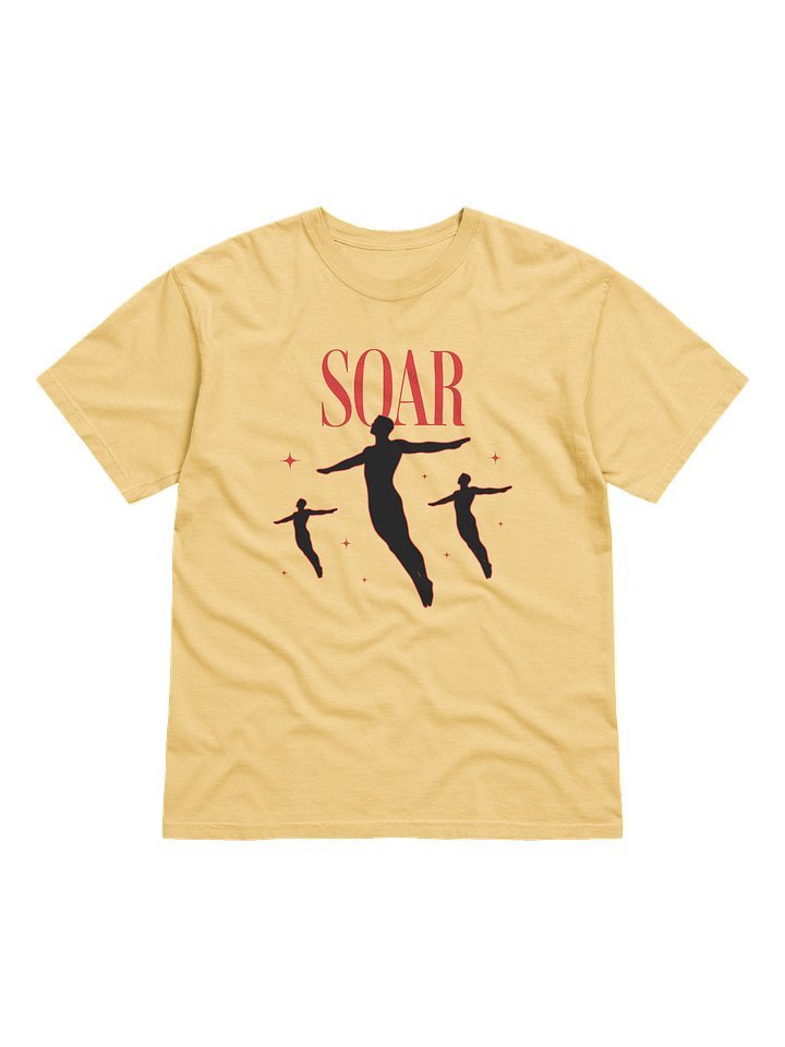 Soar High Comfort: Garment-Dyed Tee product image (1)