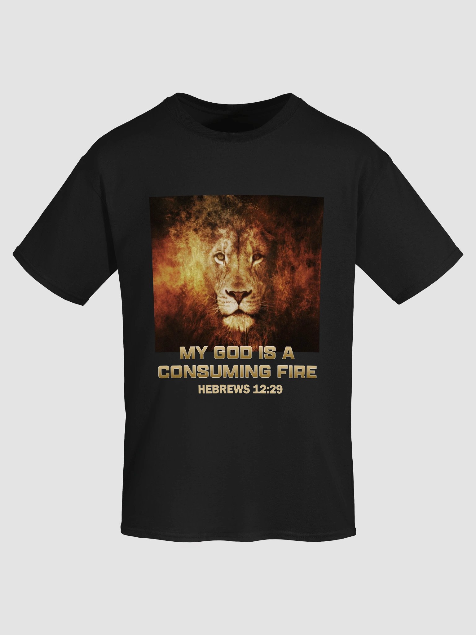 My God Is A Consuming Fire T-Shirt product image (4)