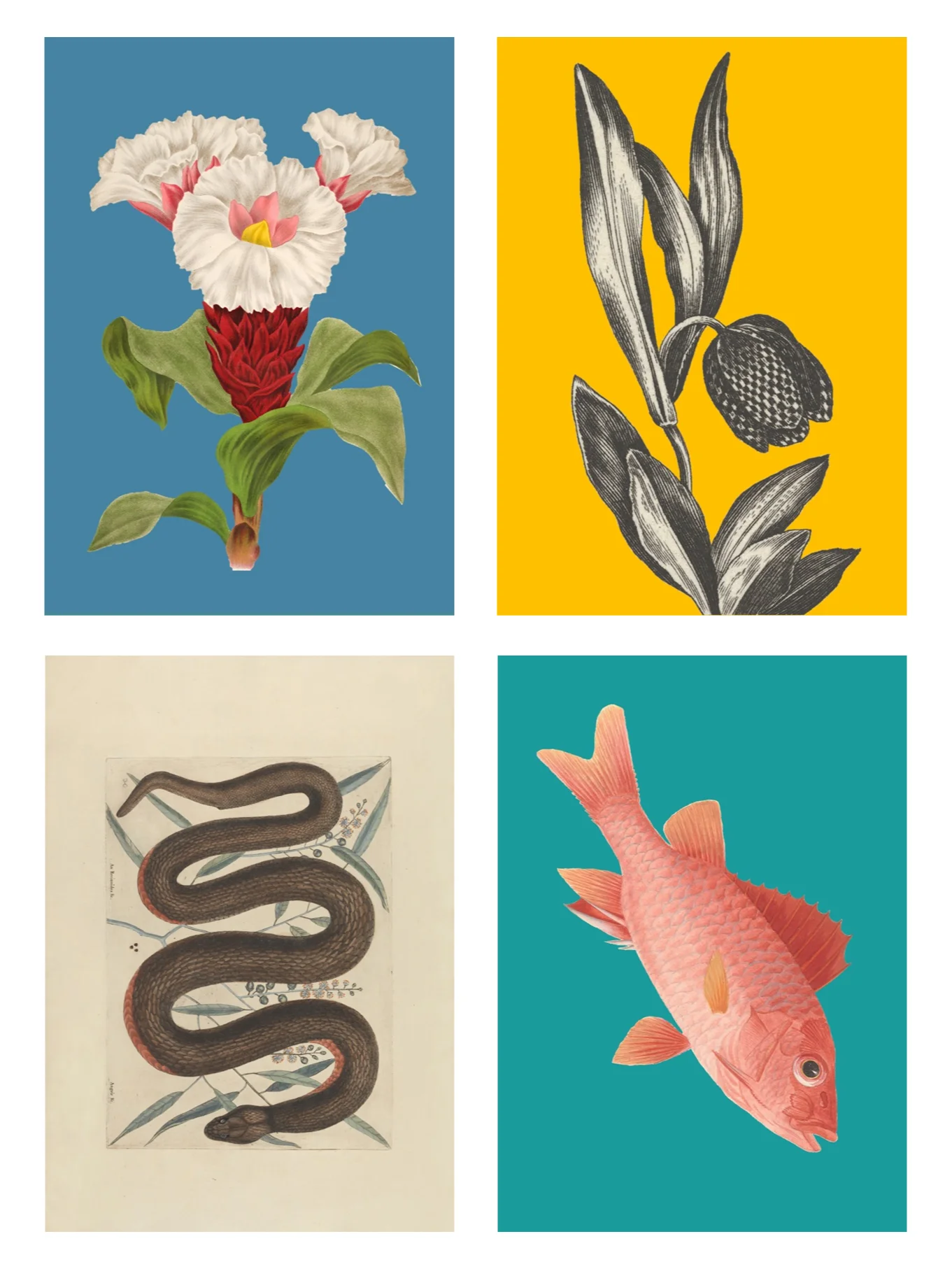 Colourful Tetraptych product image (3)