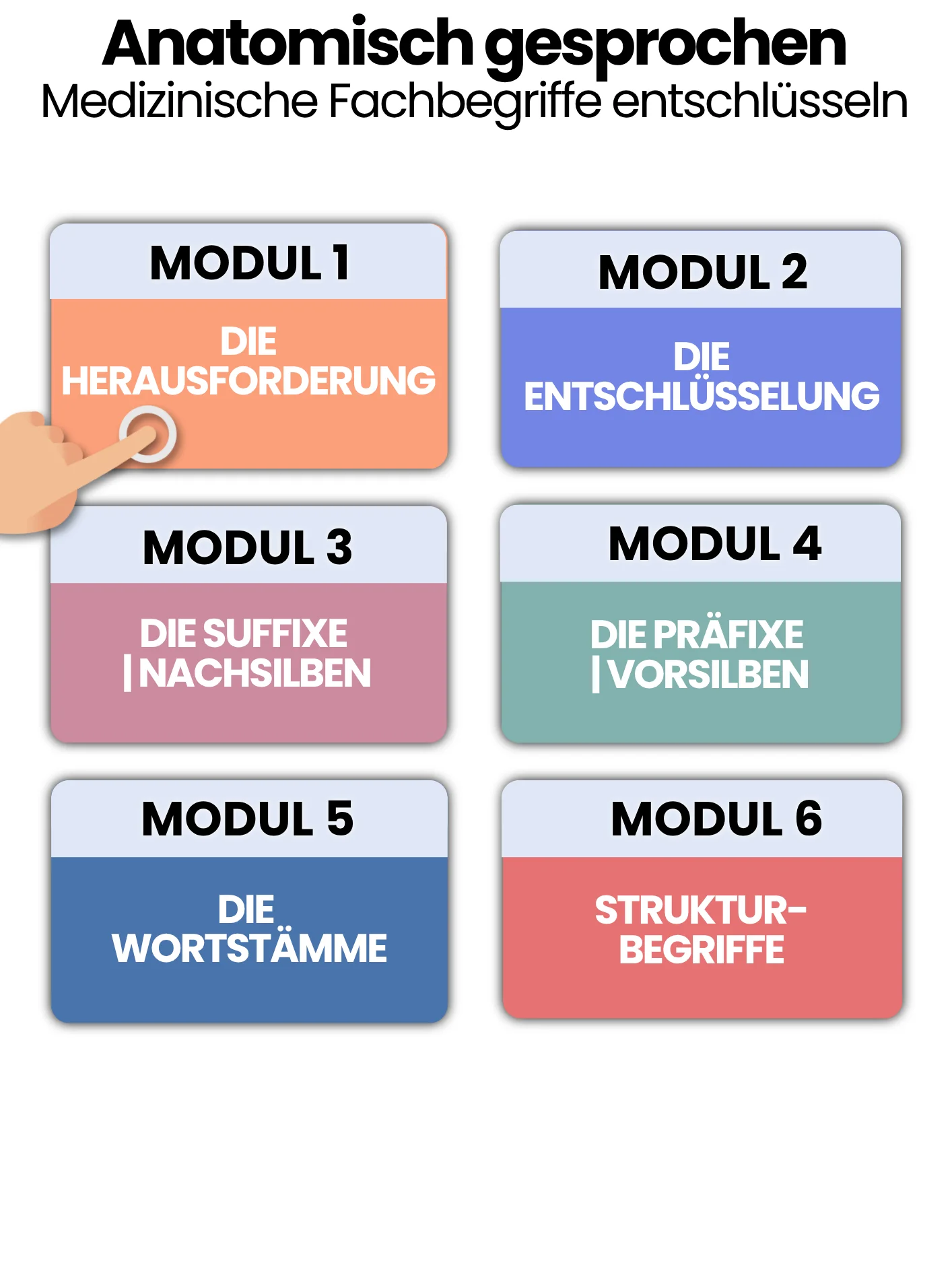 Anatomisch gesprochen - medizinische Fachbegriffe entschlüsseln product image (2)