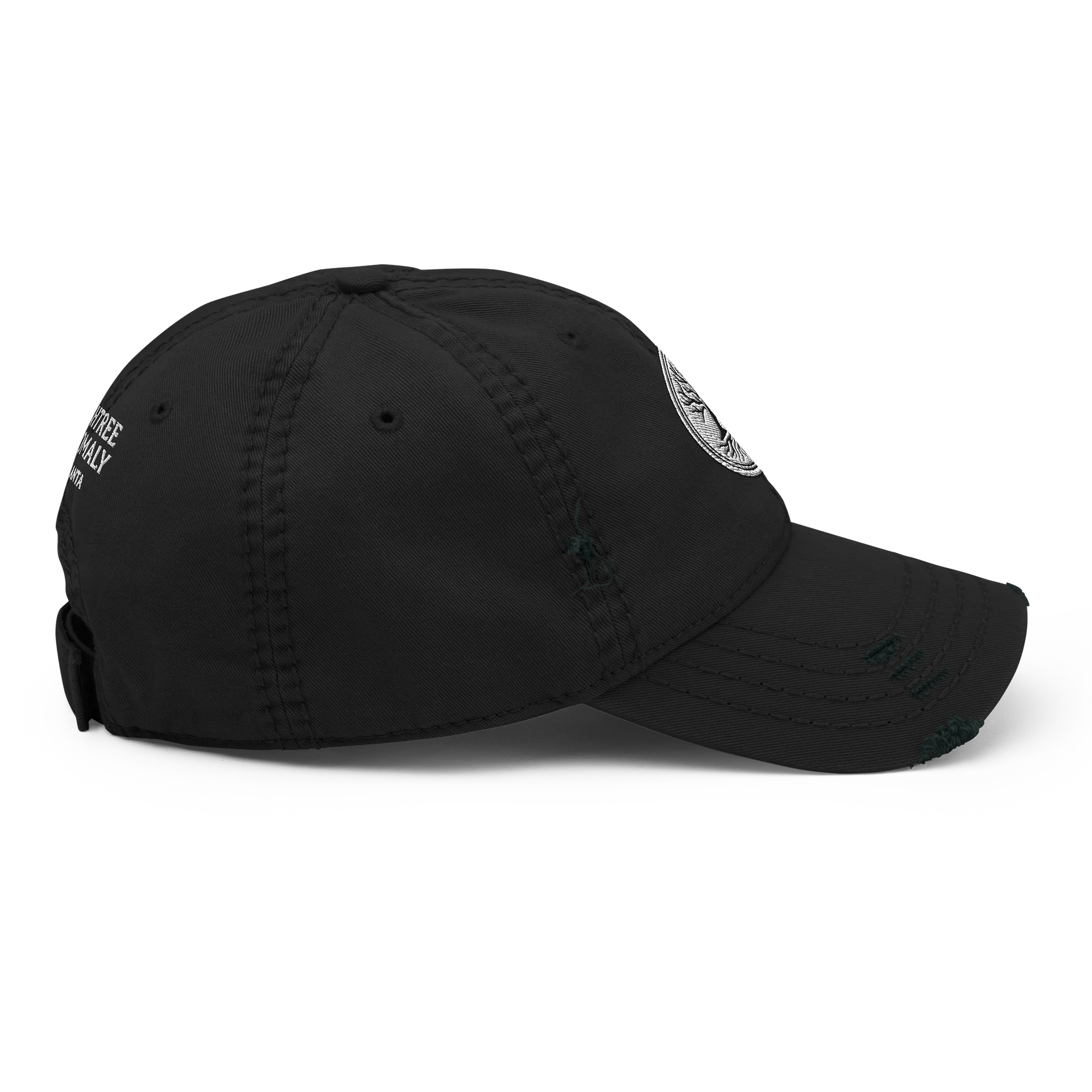 AshTree Anomaly Distressed Hat product image (6)
