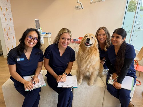 Morning huddle with the best team + Hawley! 🐶🪥🦷 Teamwork truly makes the dream work here at Poppy Kids! Thank you for helping...