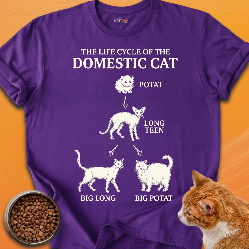 Domestic Cat product image (12)