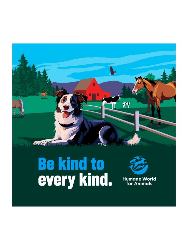 Be kind to every kind - Sticker product image (2)
