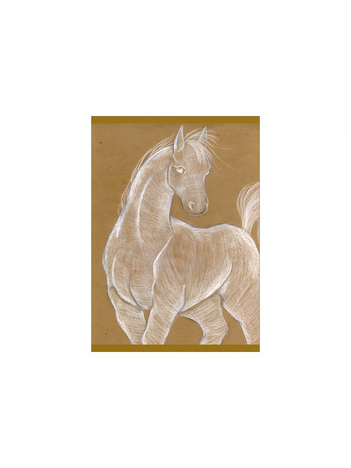 China Pencil Horse product image (1)