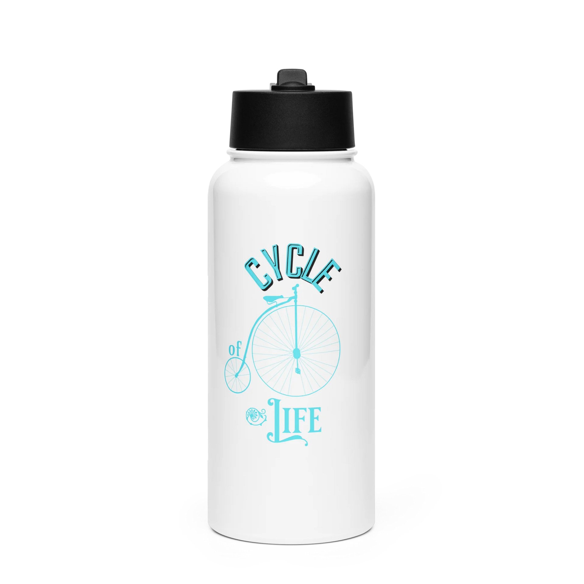Cycle of Life Stainless Steel Water Bottle with a Straw Lid product image (1)
