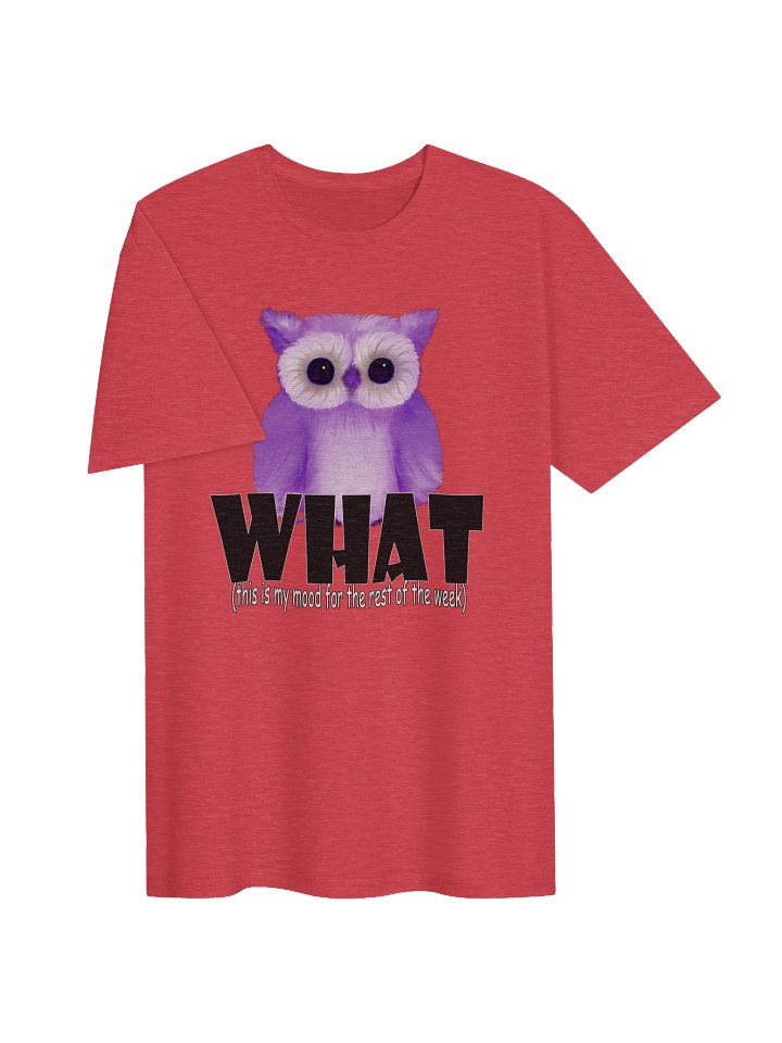 Unisex Gildan Softstyle T-Shirt product image (2)