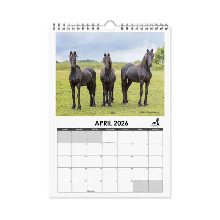 Friesian horses 2026 Wall Calendar product image (1)