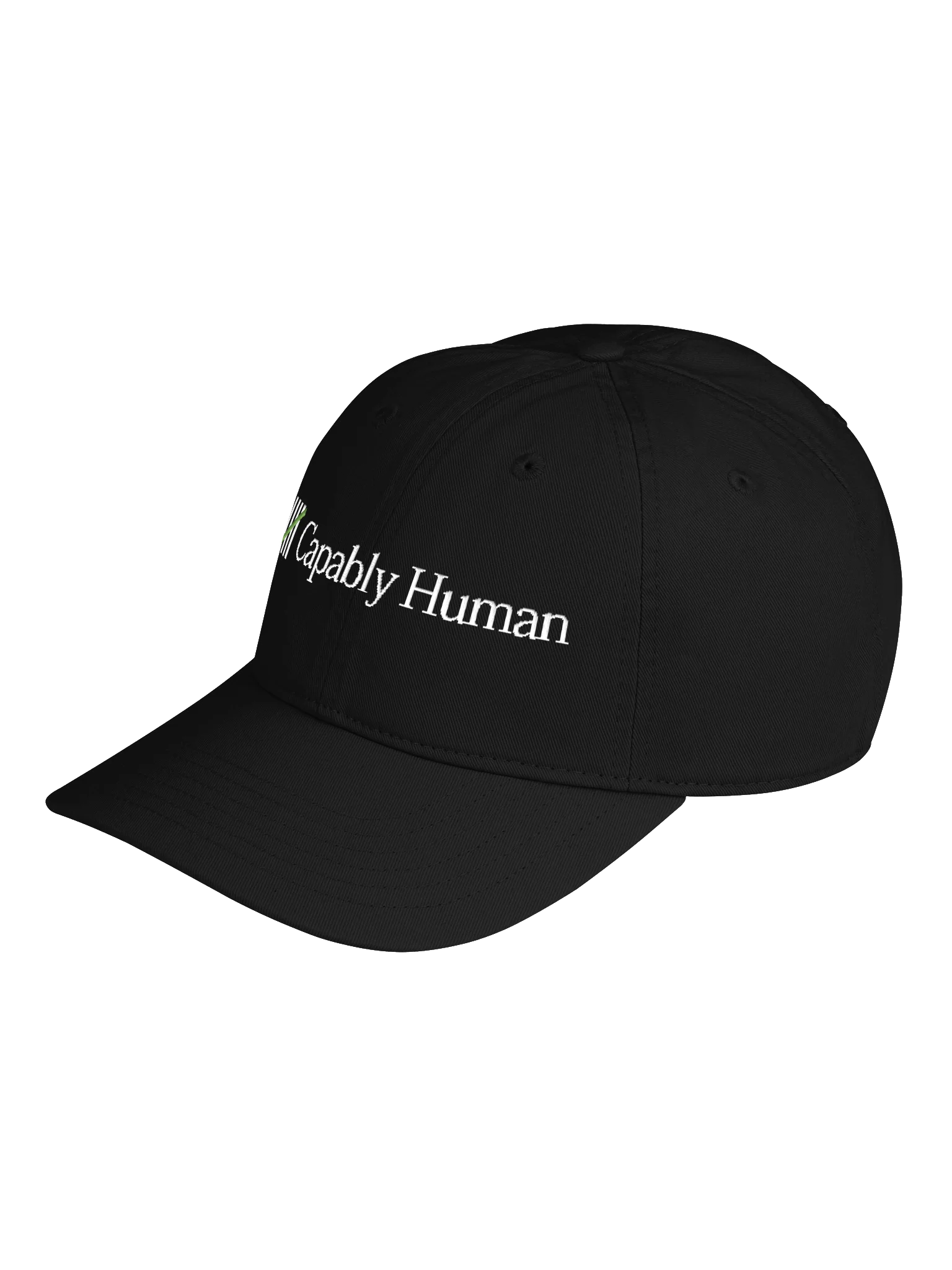 Capably Human Logo - Organic Dad Hat product image (7)