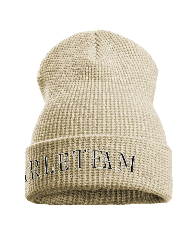 Arle Beanie product image (1)