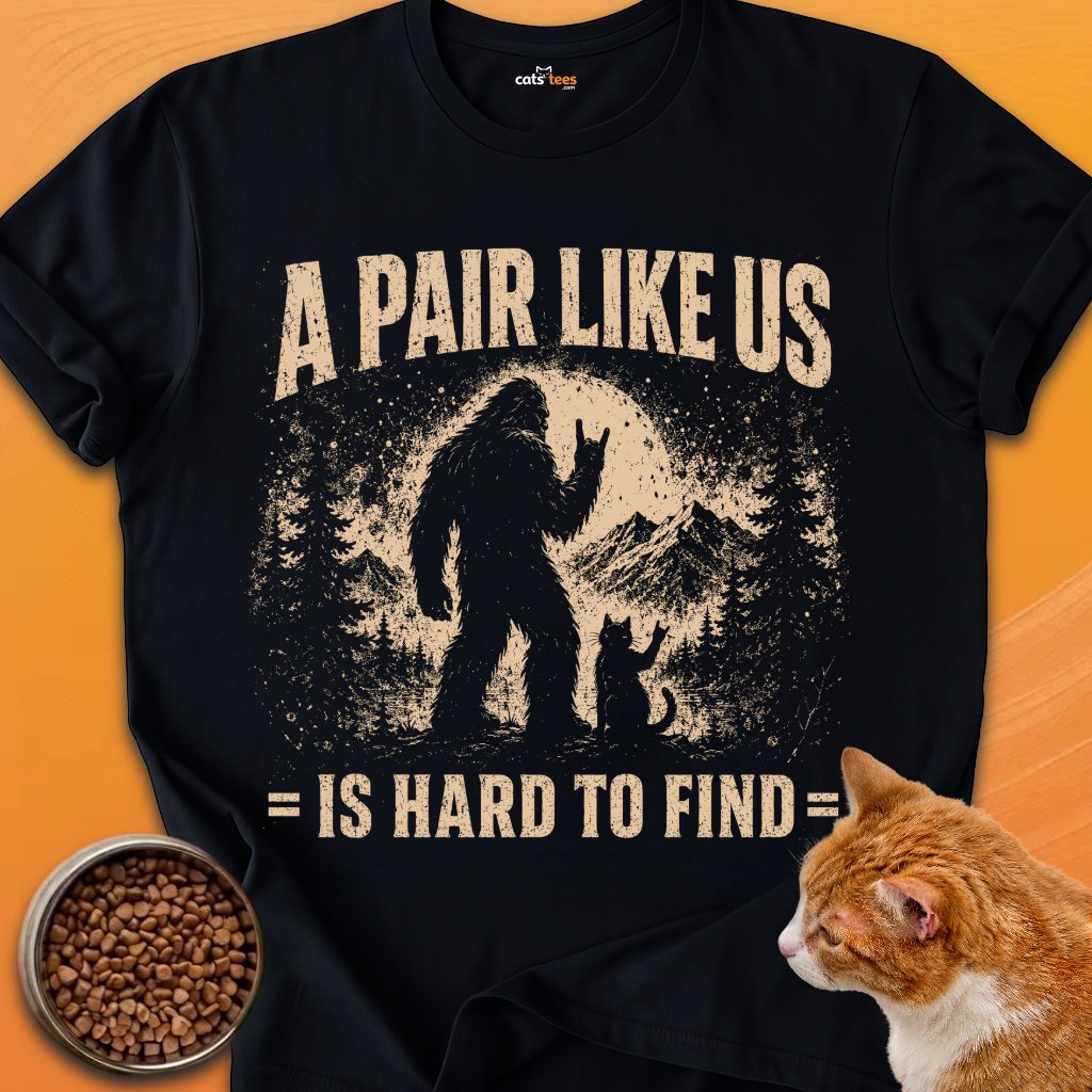 A Pair Like Us product image (1)