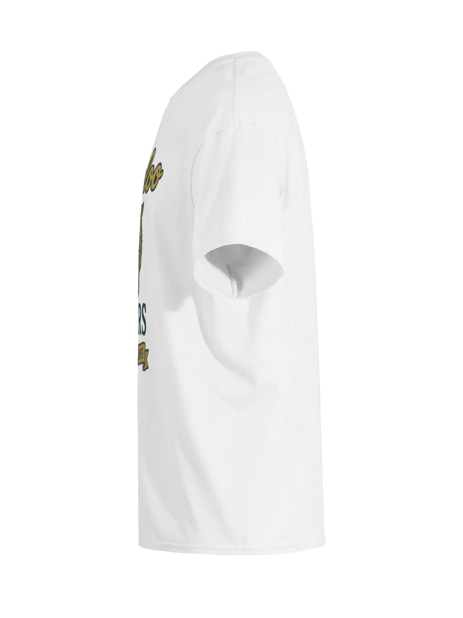 Waterloo Tigers Vintage Tee product image (7)