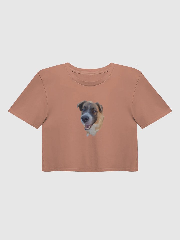 Harry Cropped T Shirt product image (1)