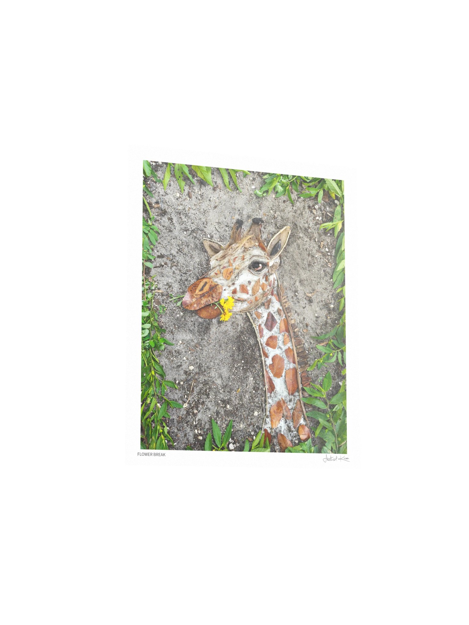 FLOWER BREAK | Nature Art Print product image (4)