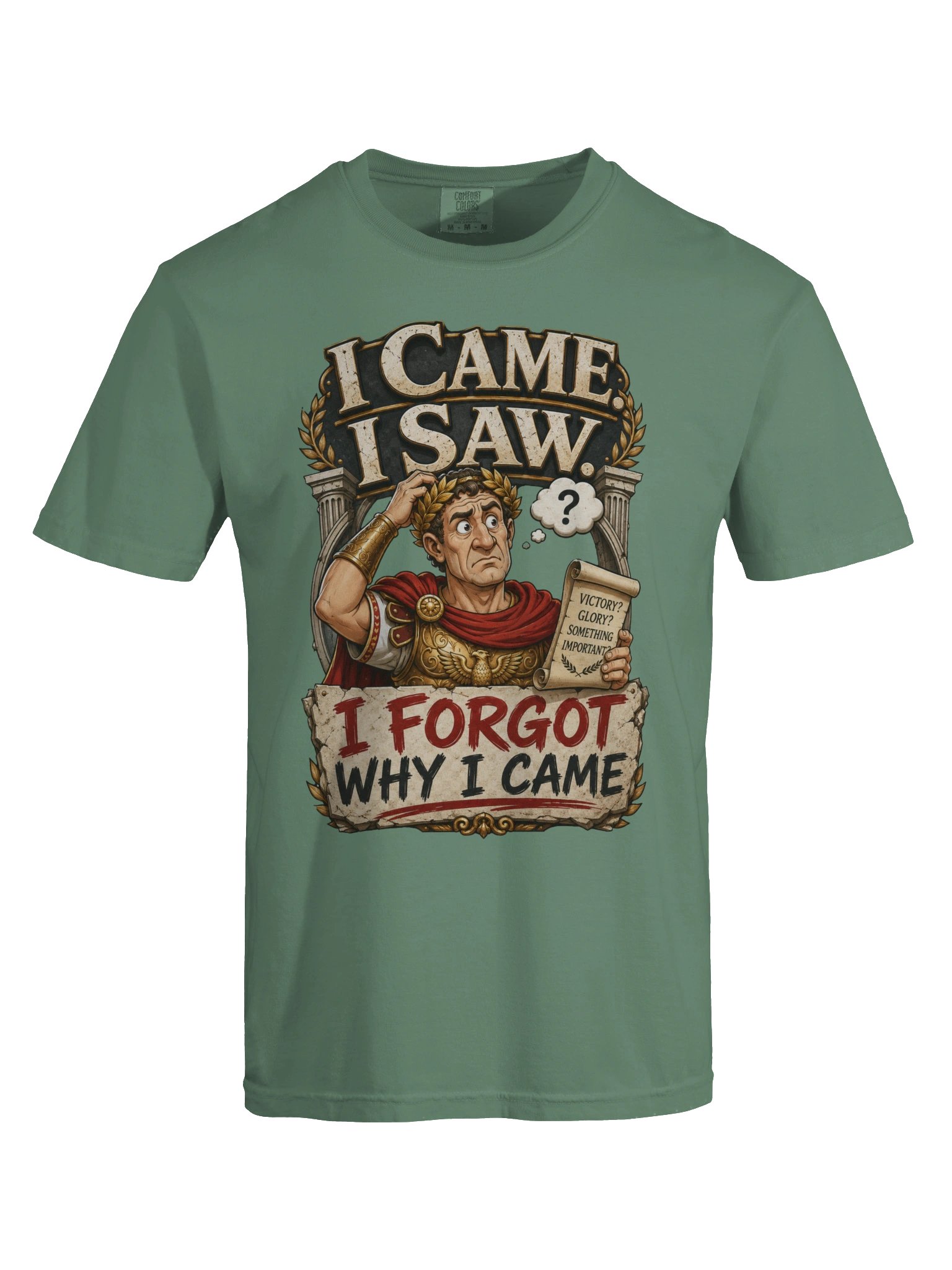 I Came I Saw I Forgot Why I Came Sarcastic T-Shirt product image (60)
