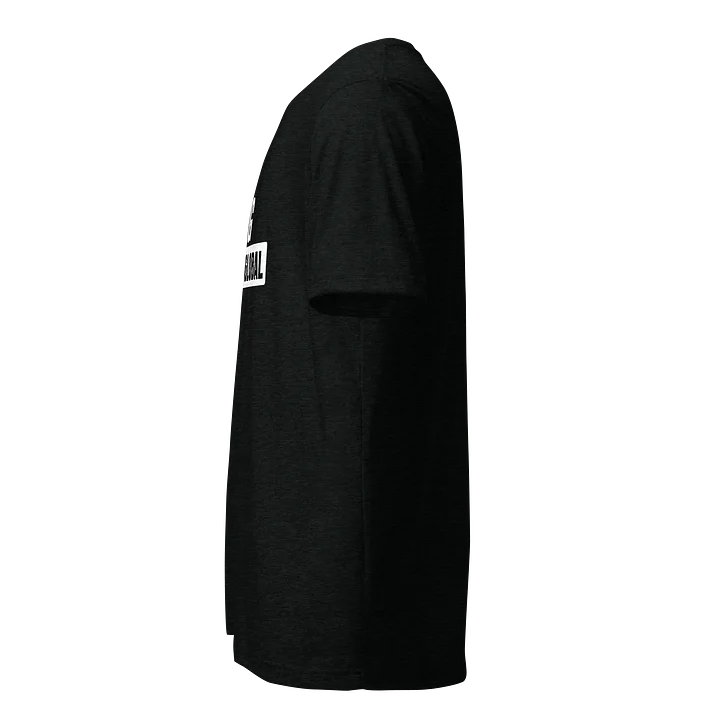 STARDOGGLOBAL Bold Logo Tee product image (2)
