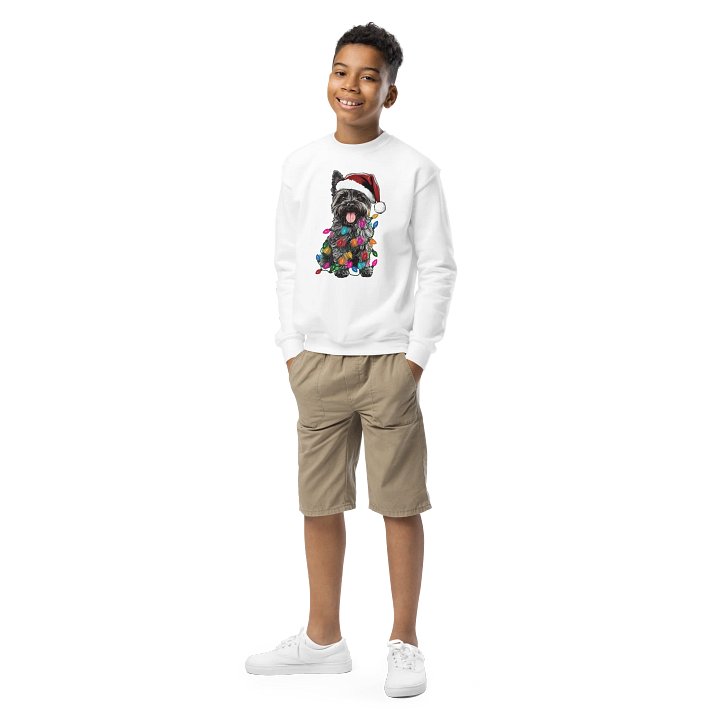 Funny Christmas Cairn Terrier(Gray) Youth Sweatshirt product image (1)