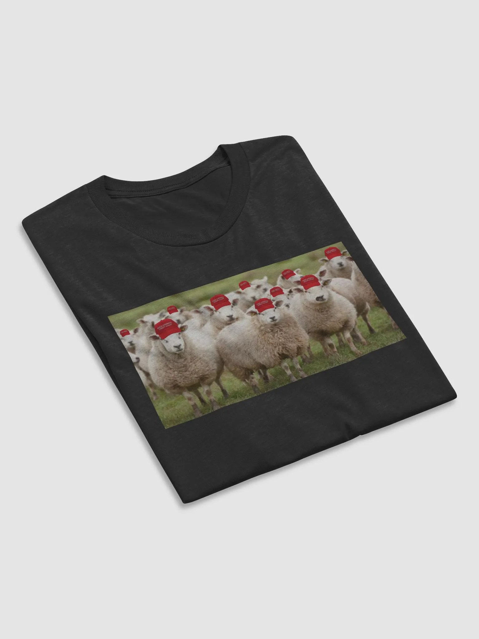 A Trump Rally! product image (6)