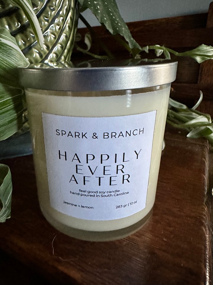 💕 Happily Ever After Book Lover Candle product image (1)