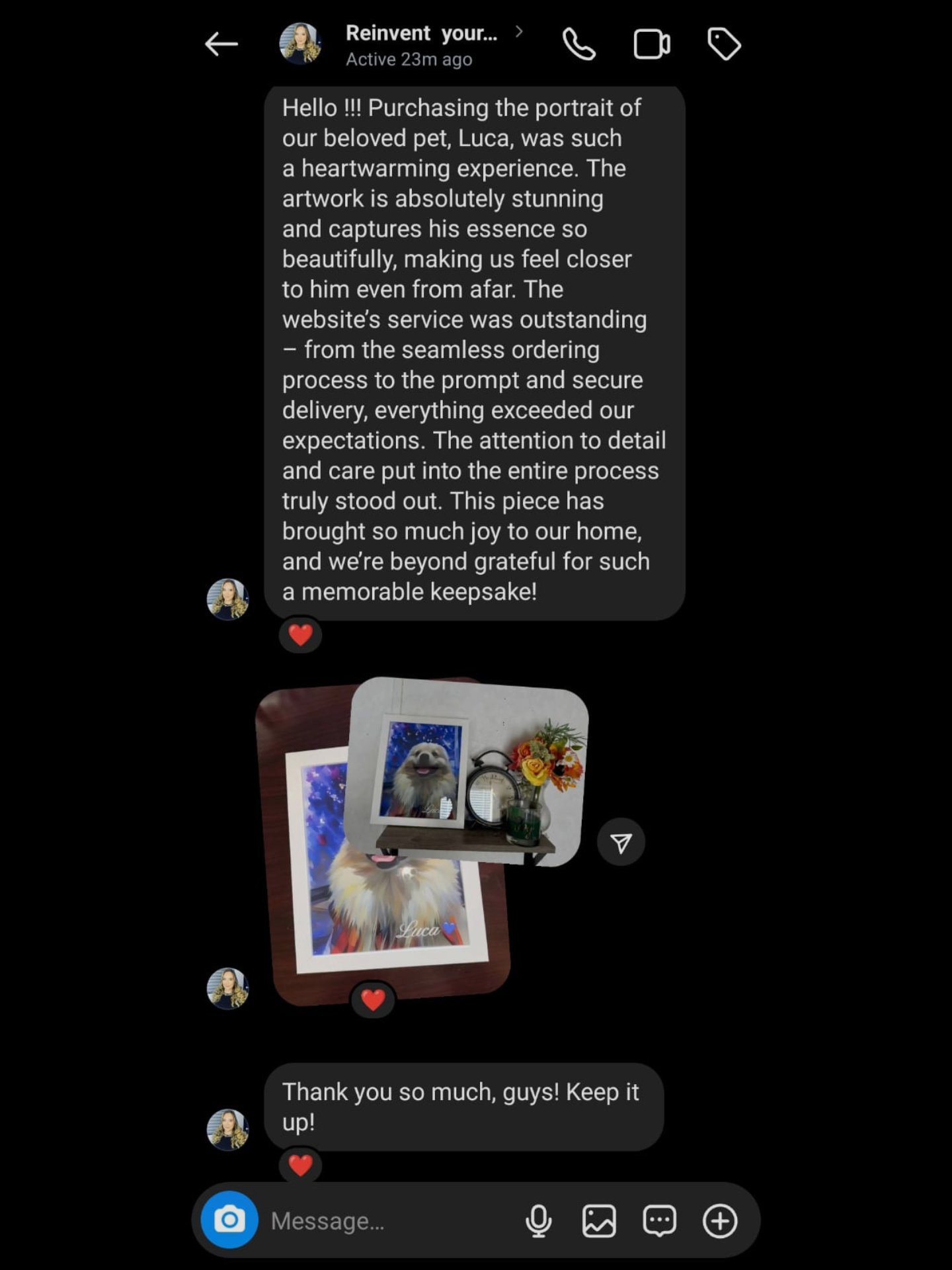 KNOW LUCA’S STORY💙 FRAMED PET ART / HIGH-QUALITY PRINT product image (5)