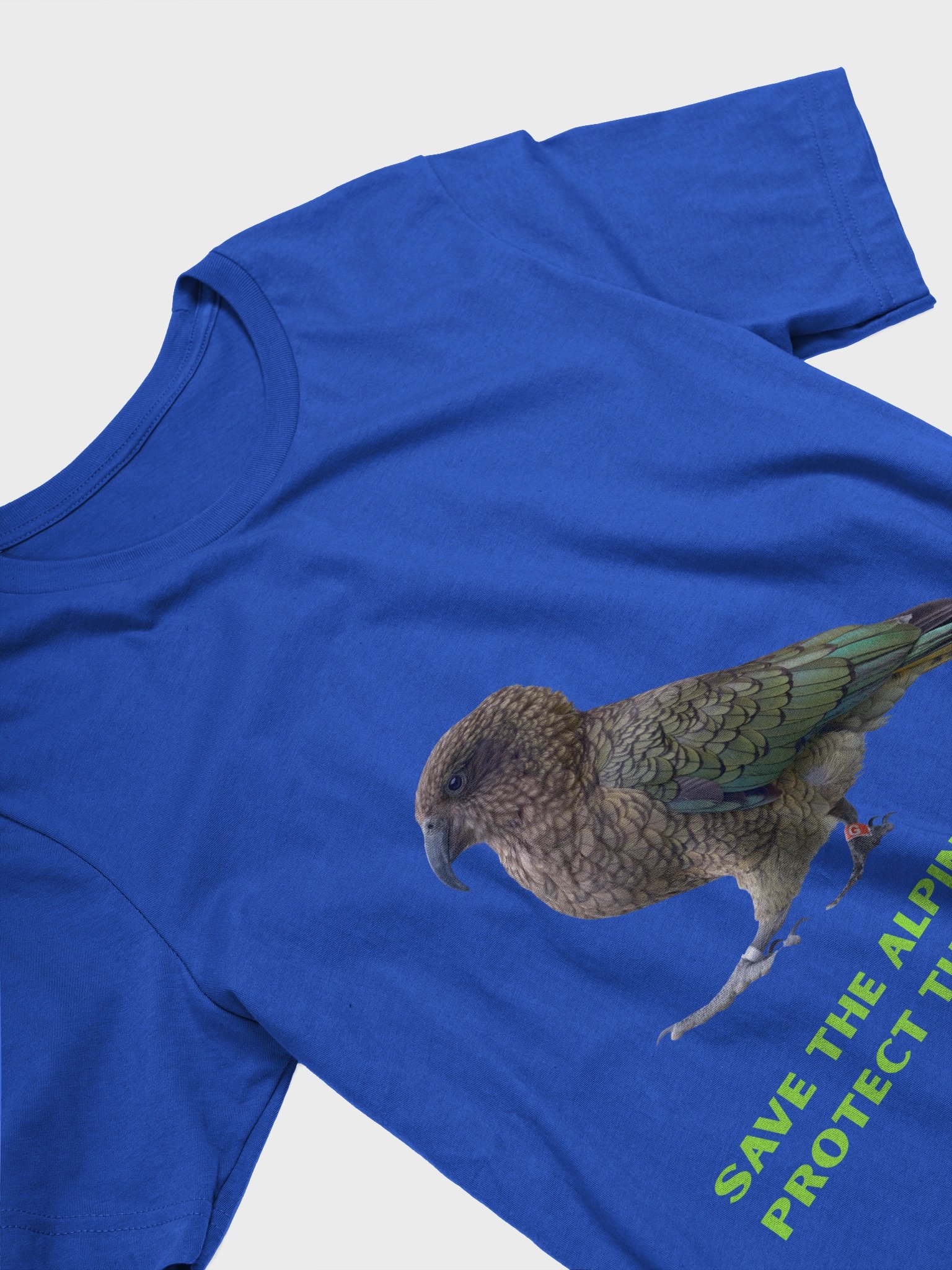 New Zealand Parrot product image (2)