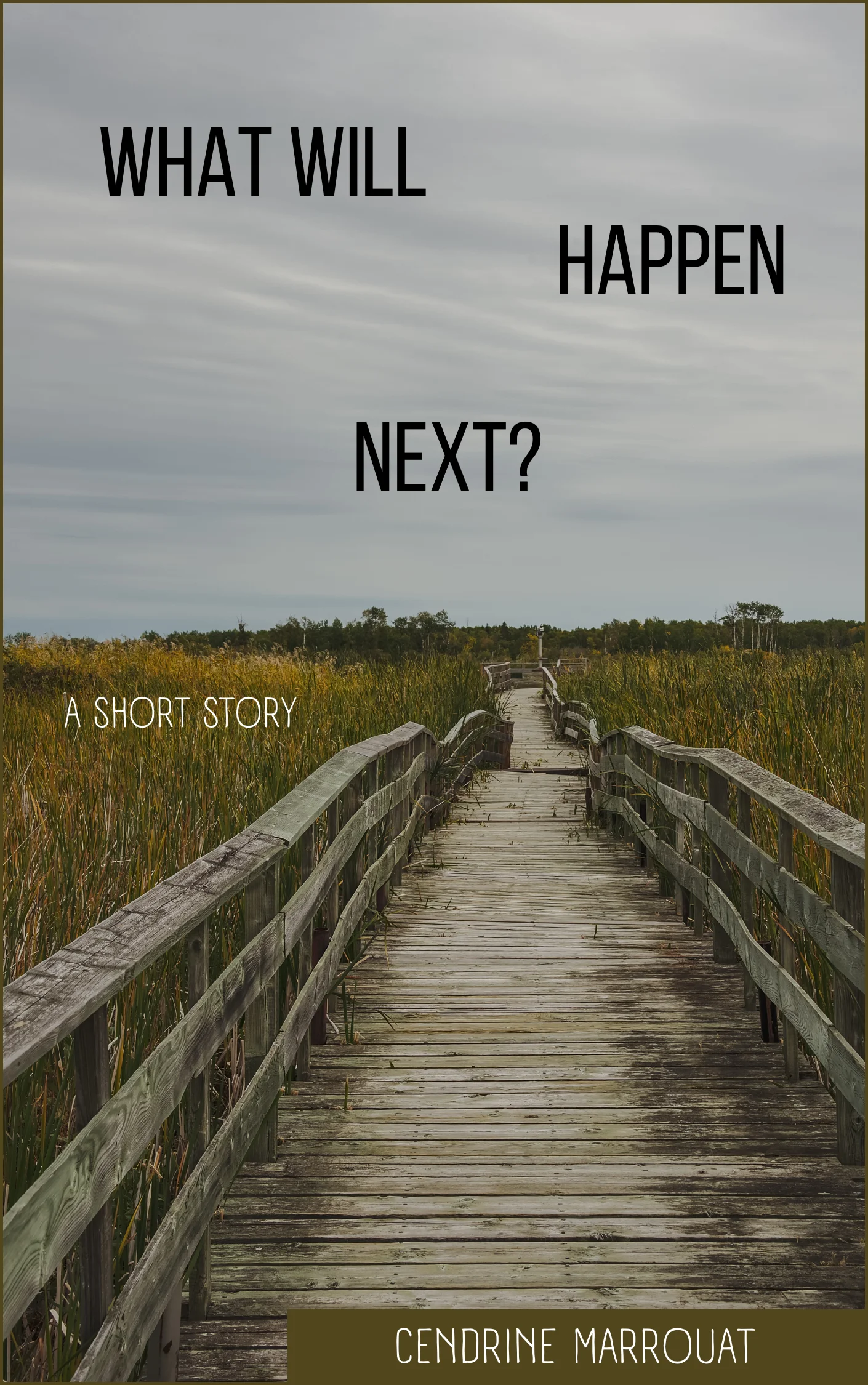 What Will Happen Next? A Short Story product image (1)
