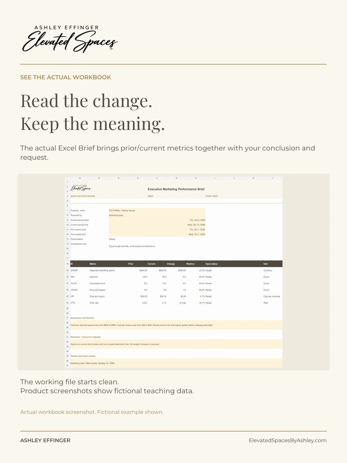 Executive Marketing Performance Brief product image (3)