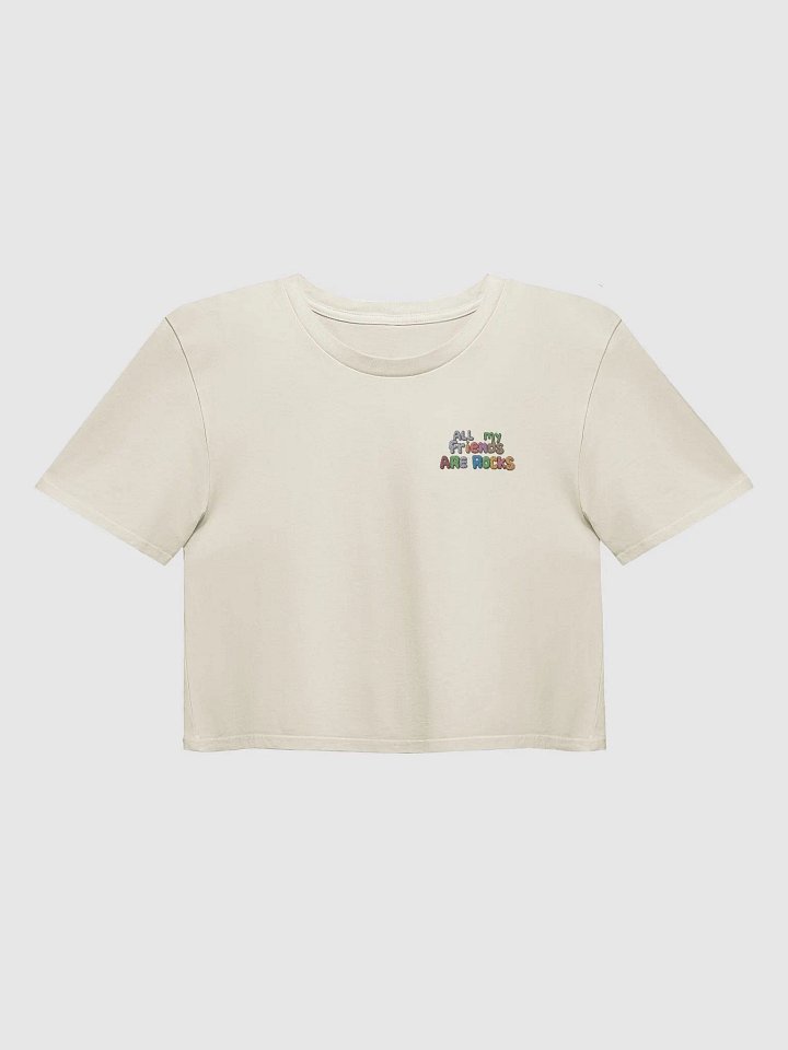 ALL MY FRIENDS ARE ROCKS CROP product image (2)