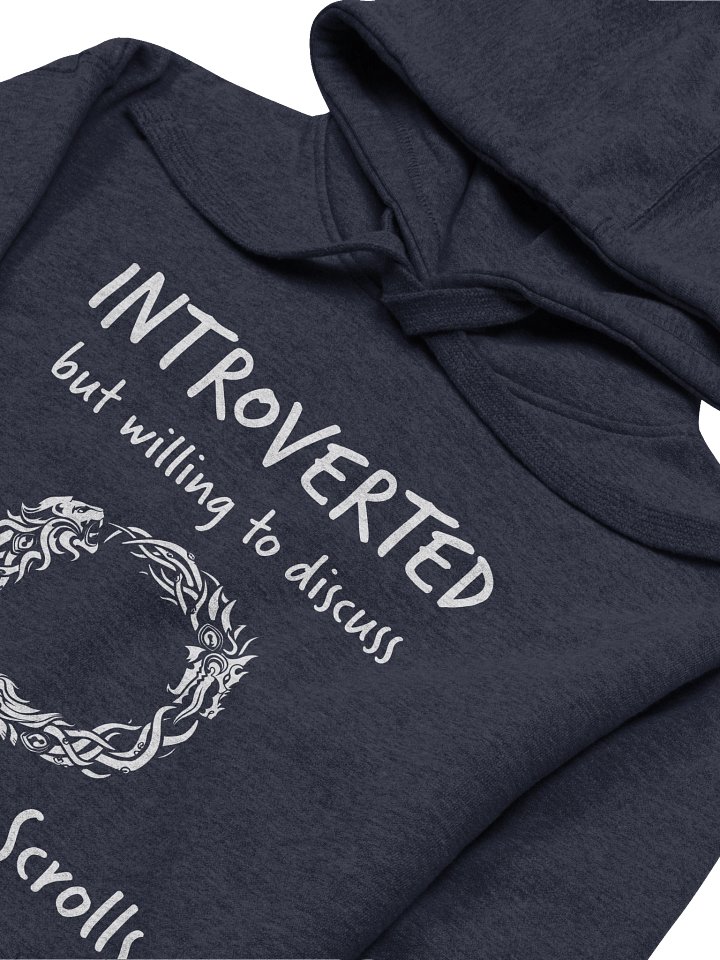 Introverted (Ouroboros Hoodie) product image (2)