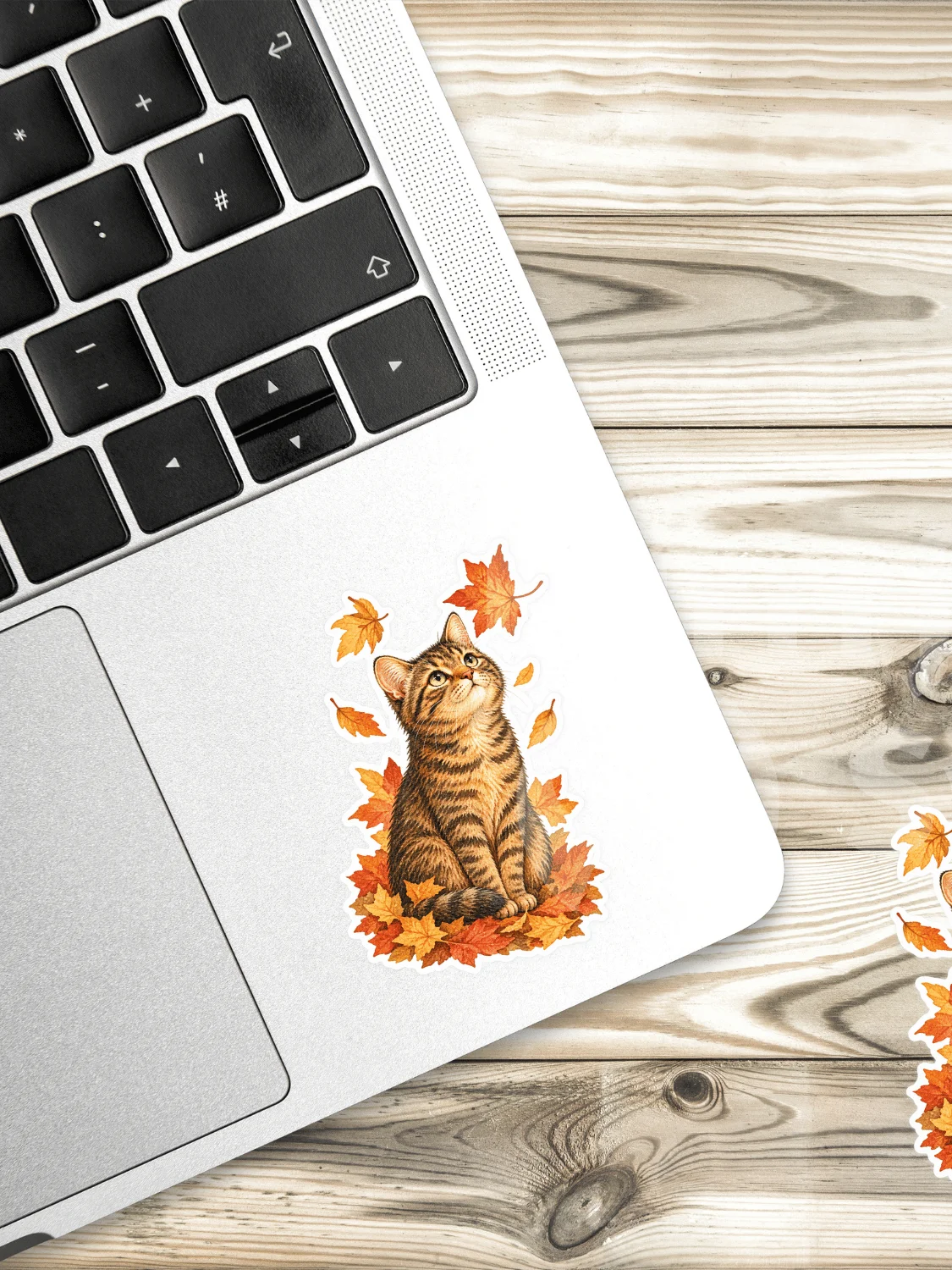 The Cat Who Watched the Leaves product image (1)