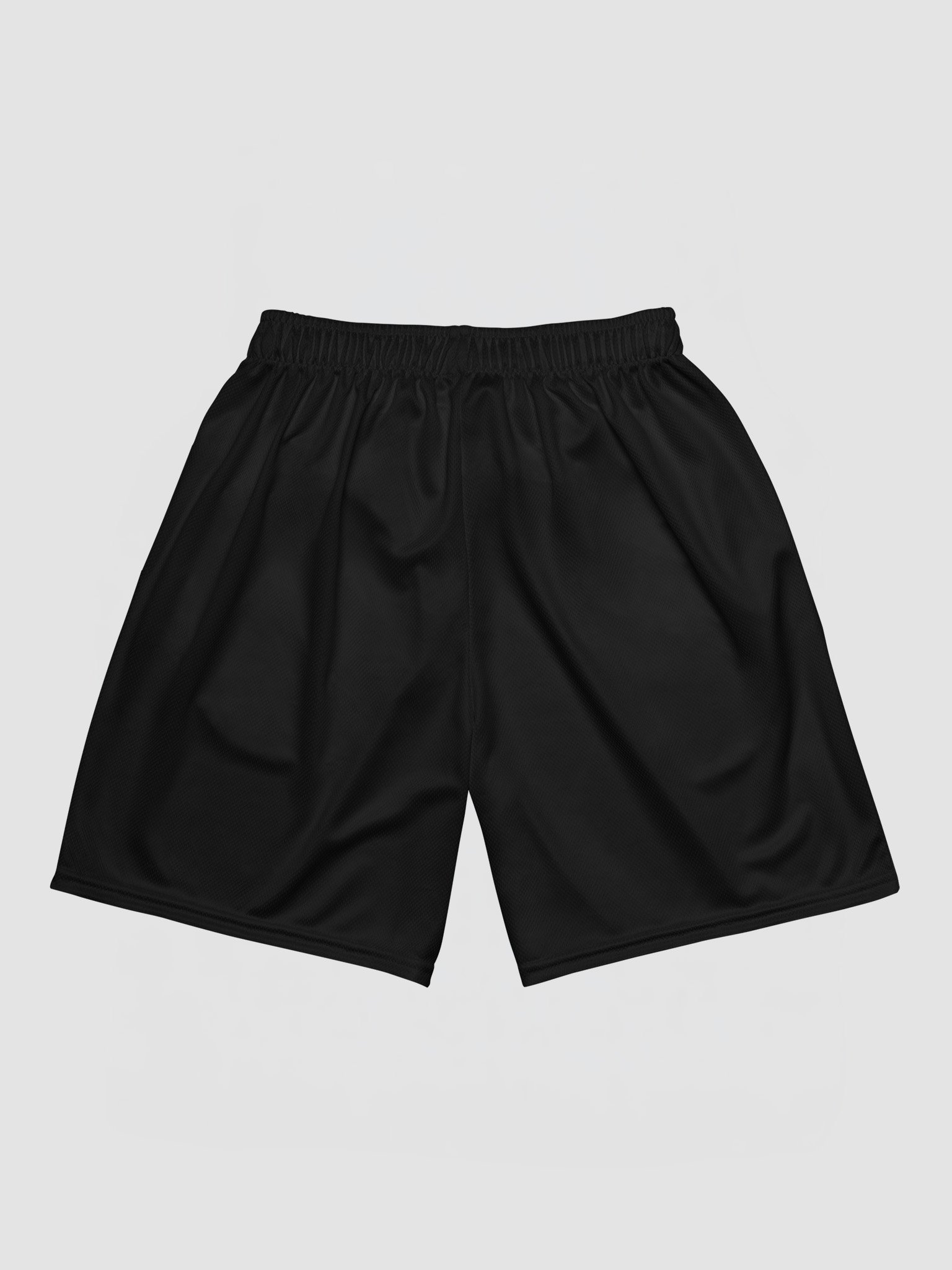 ETU Lock Ness Mesh Shorts product image (2)