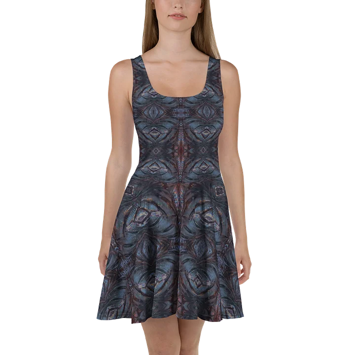NordicEcho on Skater Dress product image (2)