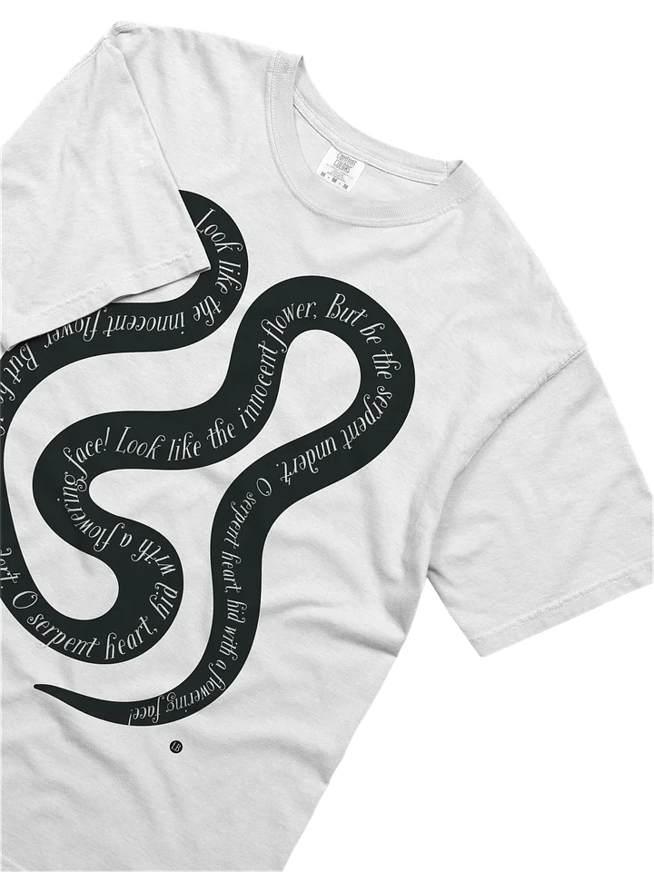 Serpent's Verse Heavyweight Tee product image (2)