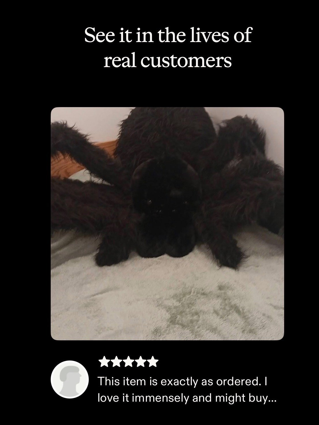 Puffy Spider product image (10)